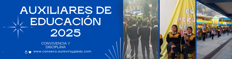 Dirección IE Ernesto Diez Canseco (7)